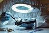 Forensic scientist