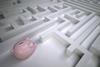 Piggybank maze