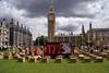 Rent protest parliament