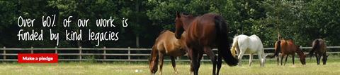 Redwings Horse Sanctuary