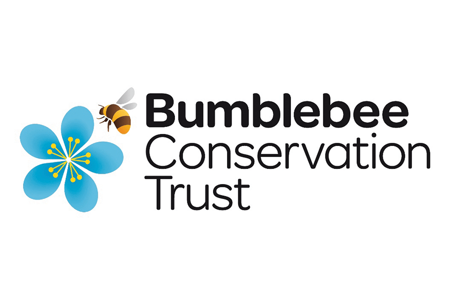 Bumblebee CT_900x600 Logo