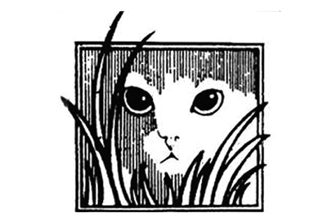 Cat Action Trust