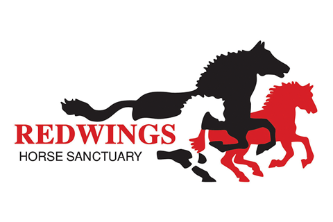 Redwings Horse Sanctuary